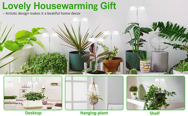 LED kweeklamp - volledig spectrum, verstelbaar voor binnenplanten