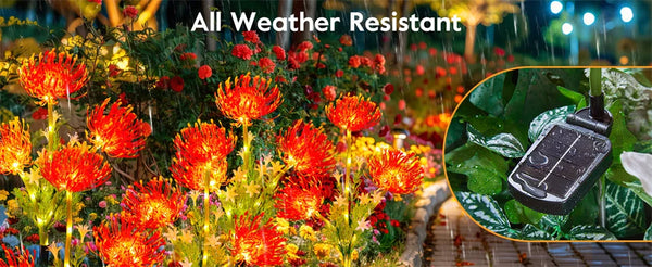 Lampes de jardin LED solaires : étanches, lampes décoratives pour aménagement paysager