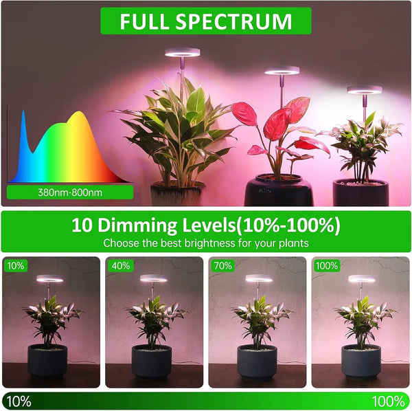LED kweeklamp - volledig spectrum, verstelbaar voor binnenplanten