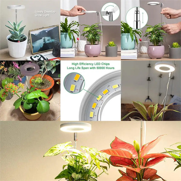 LED kweeklamp - volledig spectrum, verstelbaar voor binnenplanten