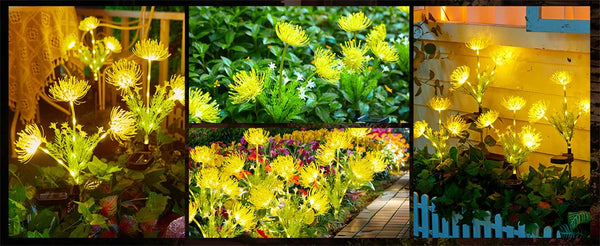 Lampes de jardin LED solaires : étanches, lampes décoratives pour aménagement paysager