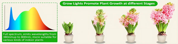 LED kweeklamp - volledig spectrum, verstelbaar voor binnenplanten