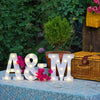 Alphabet LED light - battery-operated, versatile decor lamp