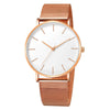 LEDmePLAY Celeste - Men's fashion ultra-thin quartz watch – Simple & elegant stainless steel mesh belt