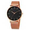 LEDmePLAY Celeste - Men's fashion ultra-thin quartz watch – Simple & elegant stainless steel mesh belt