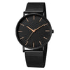 LEDmePLAY Celeste - Men's fashion ultra-thin quartz watch – Simple & elegant stainless steel mesh belt