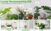 LED grow light - full spectrum, adjustable for indoor plants
