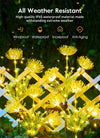 Solar LED garden lights: waterproof, decorative landscape lamp
