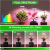 LED grow light - full spectrum, adjustable for indoor plants
