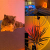 Sunset LED projector lamp - USB, bedroom/photography ambiance