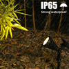 Solar LED outdoor spotlight: waterproof, garden decor