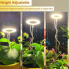 LED grow light - full spectrum, adjustable for indoor plants