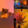 Sunset projector lamp - USB LED for bedroom decor