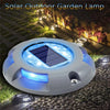 Solar LED outdoor lights: waterproof, garden-friendly