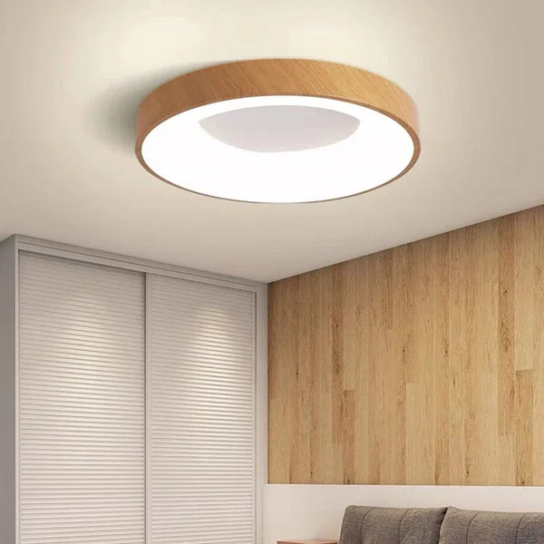 LED ceiling light - Metal modern dropship for all rooms