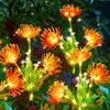 Solar LED garden lights: waterproof, decorative landscape lamp