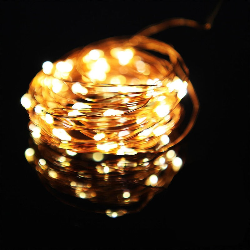 Waterproof USB/Battery LED String Light 5M 10M