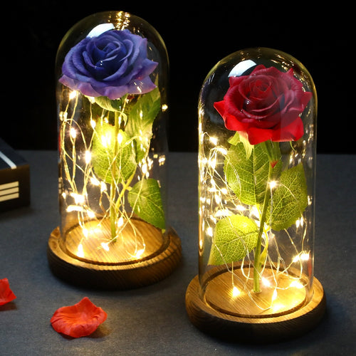 LED Enchanted Galaxy Rose Eternal 24K Gold In Dome