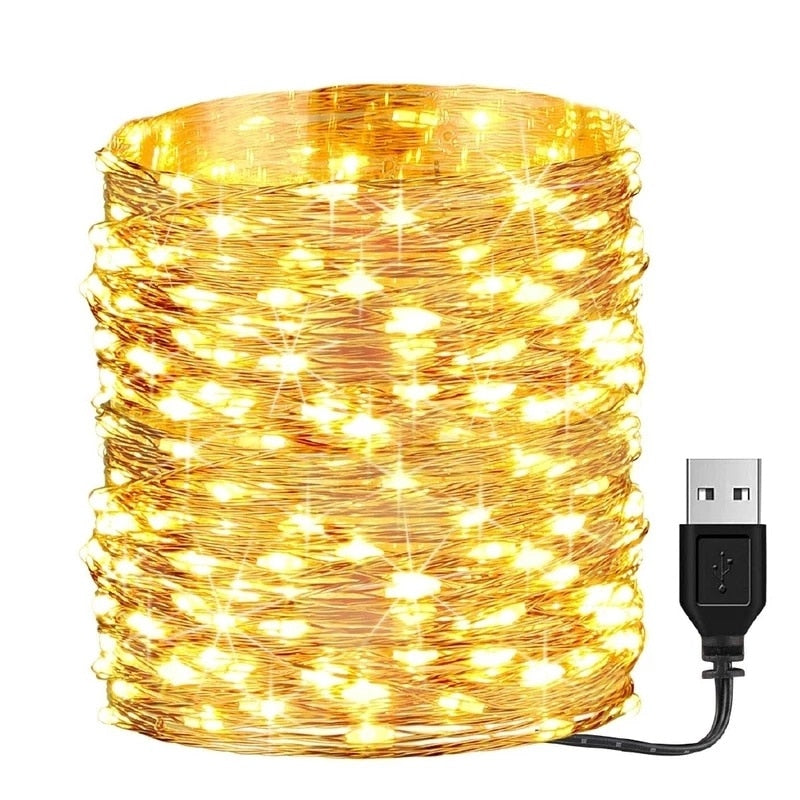 Waterproof USB/Battery LED String Light 5M 10M